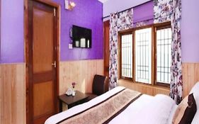 Hotel Mount View Shimla